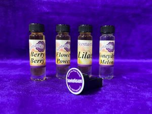 Fragrance Oil - Car Vent Clip